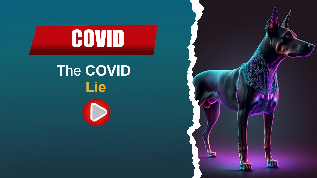 The COVID Lie